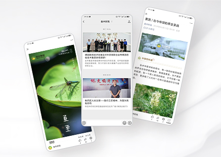 SEO优化